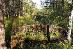 Niedersachsen, Rotenburg, Nordpfad Doert Moor