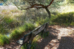 Niedersachsen, Rotenburg, Nordpfad Doert Moor
