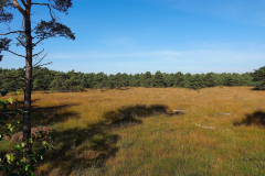 Niedersachsen, Rotenburg, Nordpfad Doert Moor