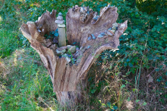 Niedersachsen, Rotenburg, Nordpfad Doert Moor