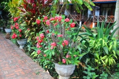 Laos, Ban Nong Khiaw, Phaxang Resort