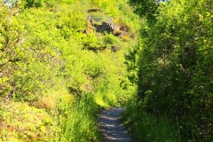 Oberwesel, Elfenley-Weg zur Schönburg