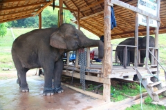Laos, Oudomxay, Nam Kat Yola-Regenwald
