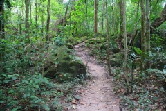Laos, Oudomxay, Nam Kat Yola-Regenwald