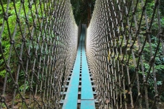 Laos, Oudomxay, Nam Kat Yola-Regenwald, Canopy Walk