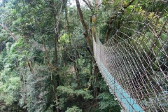 Laos, Oudomxay, Nam Kat Yola-Regenwald, Canopy Walk