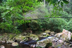 Laos, Oudomxay, Nam Kat Yola-Regenwald, Canopy Walk
