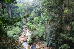 Laos, Oudomxay, Nam Kat Yola-Regenwald, Canopy Walk