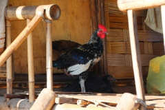 Laos, Oudomxay, Nam Kat Yola-Regenwald, Khmu Village