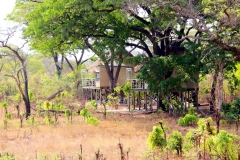 Simbabwe, Hwange Nationalpark, Elephants Eye