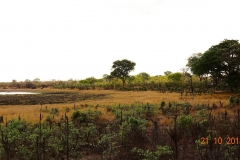 Simbabwe, Hwange Nationalpark, Elephants Eye