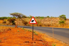 Simbabwe, Vorsicht Elefanten