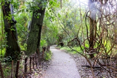 Simbabwe, Victoria Falls