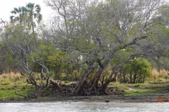 Simbabwe, Zambezi River