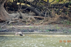 Simbabwe, Zambezi River