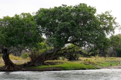 Simbabwe, Zambezi River