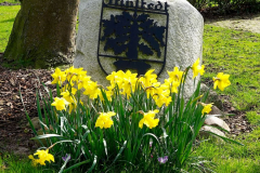 Cuxland, Stinstedt, März 2024, Alter Heerweg