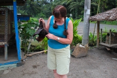 Sumatra, Flughund