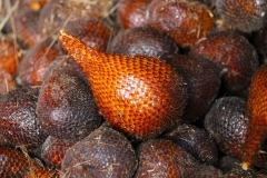 Sumatra, Berastagi, Markt, Schlangenhautfrucht