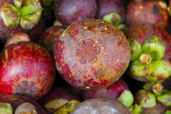 Sumatra, Berastagi, Markt, Mangostanfrucht