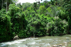 Sumatra, Umgebung Bukittinggi