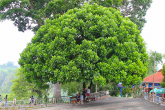 Sumatra, Umgebung Bukittinggi