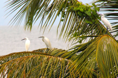 Sumatra, Toba-See, Insel Samosir