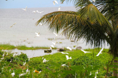 Sumatra, Toba-See, Insel Samosir