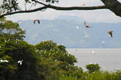 Sumatra, Toba-See, Insel Samosir
