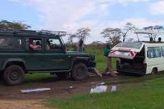 Tansania, Serengeti, Hilfe naht