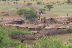 Tansania, Serengeti, Savannenhochland, Massaidorf