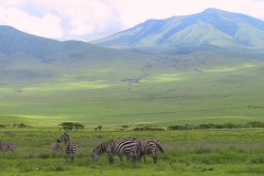 Tansania, Serengeti, Savannenhochland