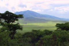 Tansania, Serengeti, Savannenhochland