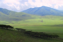 Tansania, Serengeti, Savannenhochland