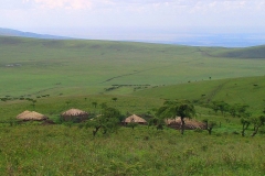 Tansania, Serengeti, Savannenhochland