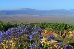 Tansania, Blick von der Sopa Lodge in den Ngorongorokrater