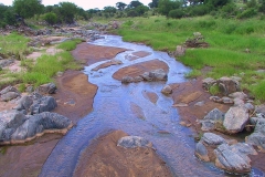 Tansania, Tarangire Nationalpark