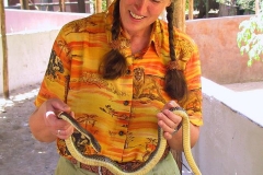 Tansania, Afrikanische Braune Hausschlange