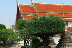 Thailand, Bangkok, Wat Pho