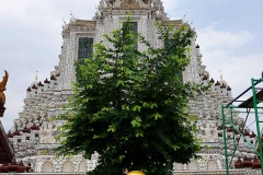 Thailand, Bangkok, Wat Arun