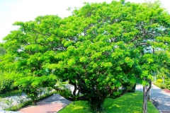 Thailand, Hua Hin, Centara Grand Beach Resort, Regenbaum