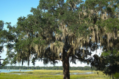 USA, South Carolina, Beaufort