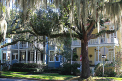 USA, South Carolina, Beaufort