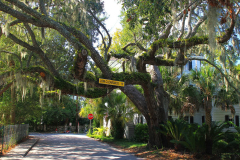 USA, South Carolina, Beaufort