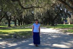 USA South Carolina, Boone Hall Plantage, Steineichenallee