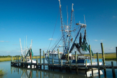 USA, South Carolina