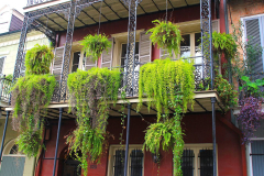 USA, Louisiana, New Orleans