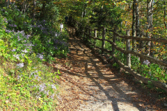 USA, North Carolina, Great Smoky Mountains Nationalpark, Appalachian Trail