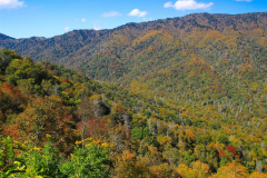 USA, North Carolina, Great Smoky Mountains Nationalpark