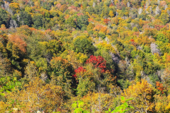USA, North Carolina, Great Smoky Mountains Nationalpark